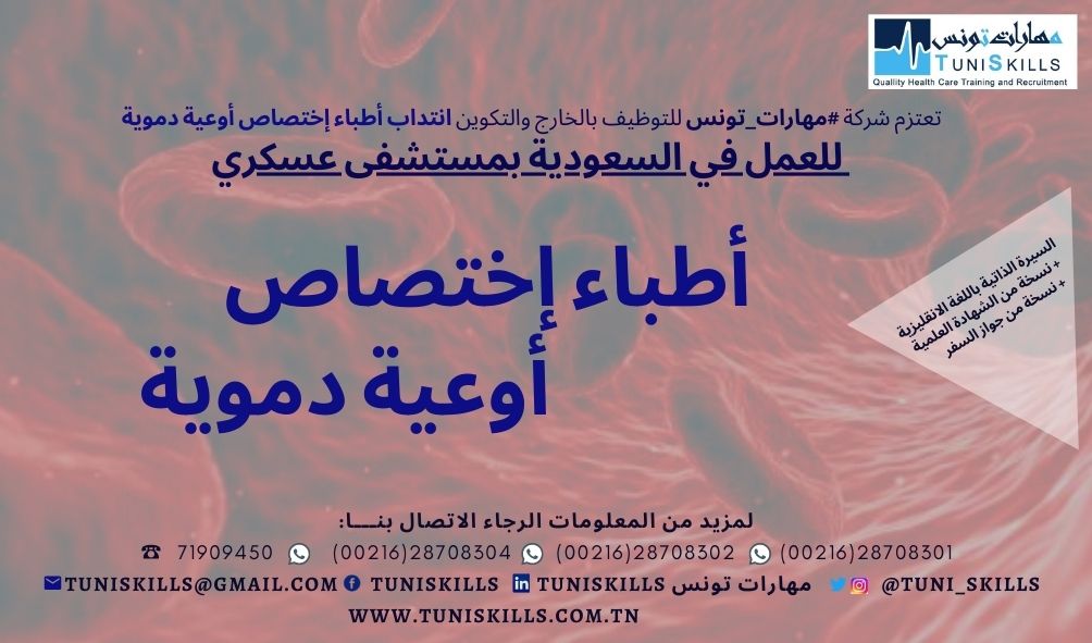 TuniSKILLS offres